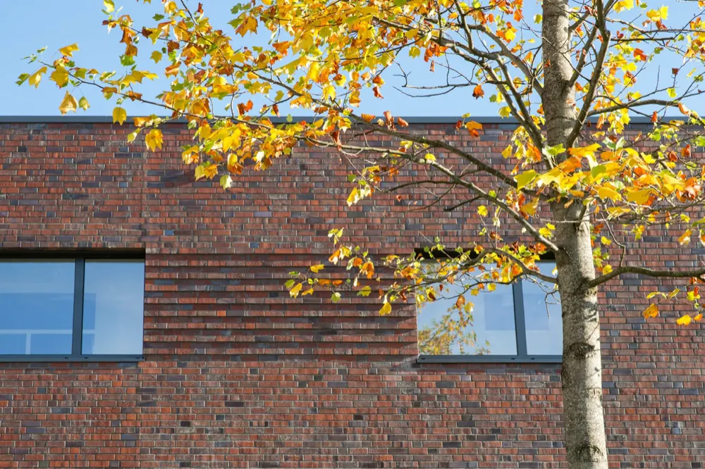 Neubau eines Laborgebäudes, Bild 9